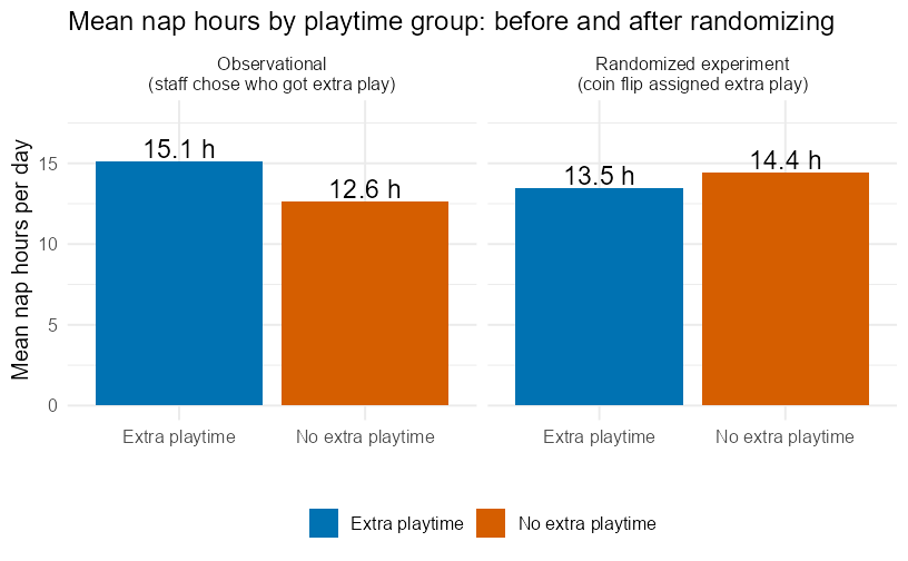 Grouped bar chart of mean nap hours for cats with and without extra playtime, shown once from the observational data (15.1 versus 12.6 hours) and once after cats were randomly reassigned to playtime groups (13.5 versus 14.4 hours).