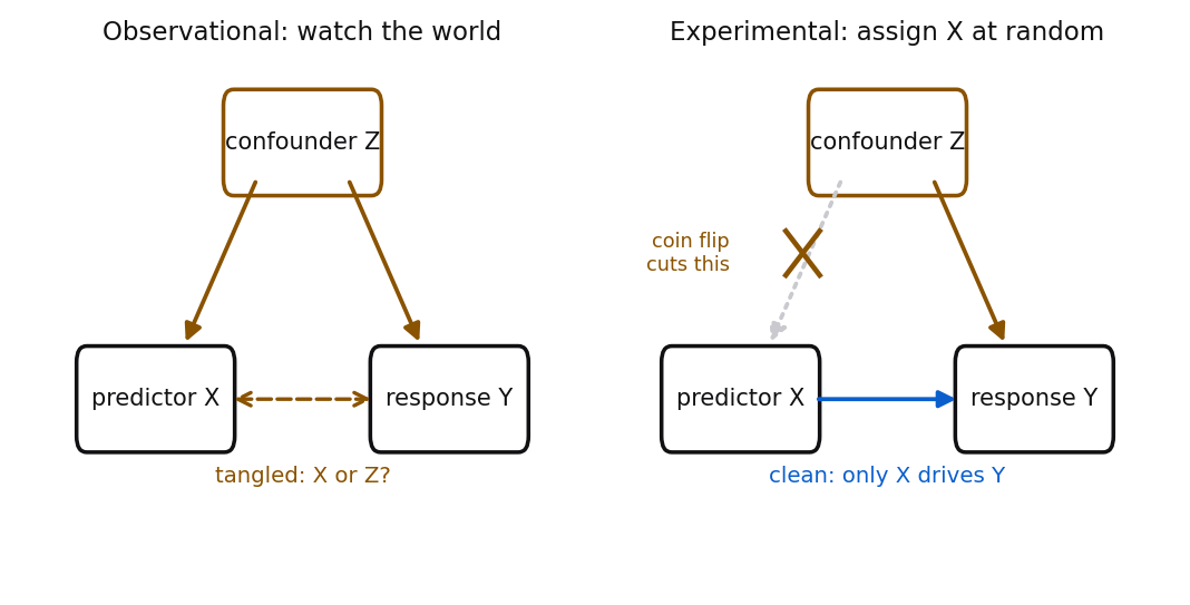 Two diagrams side by side. On the left, labeled Observational, a confounder Z has arrows pointing down to both predictor X and response Y, and a dashed double-headed arrow between X and Y is labeled tangled, is it X or Z. On the right, labeled Experimental, the arrow from Z to X is greyed out and crossed with a red X labeled coin flip cuts this, while a solid arrow runs from X to Y labeled clean, only X can drive Y.