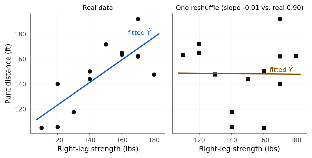 Two side-by-side scatterplots of punt distance against right-leg strength. The left panel, labeled real data, shows an upward-sloping line with slope 0.90. The right panel, labeled one reshuffle, shows the same distances reassigned to random strengths, with a nearly flat fitted line of slope near zero.