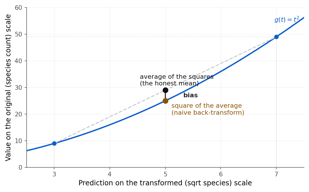 A plot of the upward-bending squaring curve, y equals x squared, mapping predictions on the square-root scale to the count scale. Two blue points sit on the curve at equal distances left and right of the average prediction. A dashed straight chord joins them. At the average, a green dot on the curve marks the square of the average, and a red dot on the chord above it marks the average of the two squares. The vertical distance between them is labeled bias.