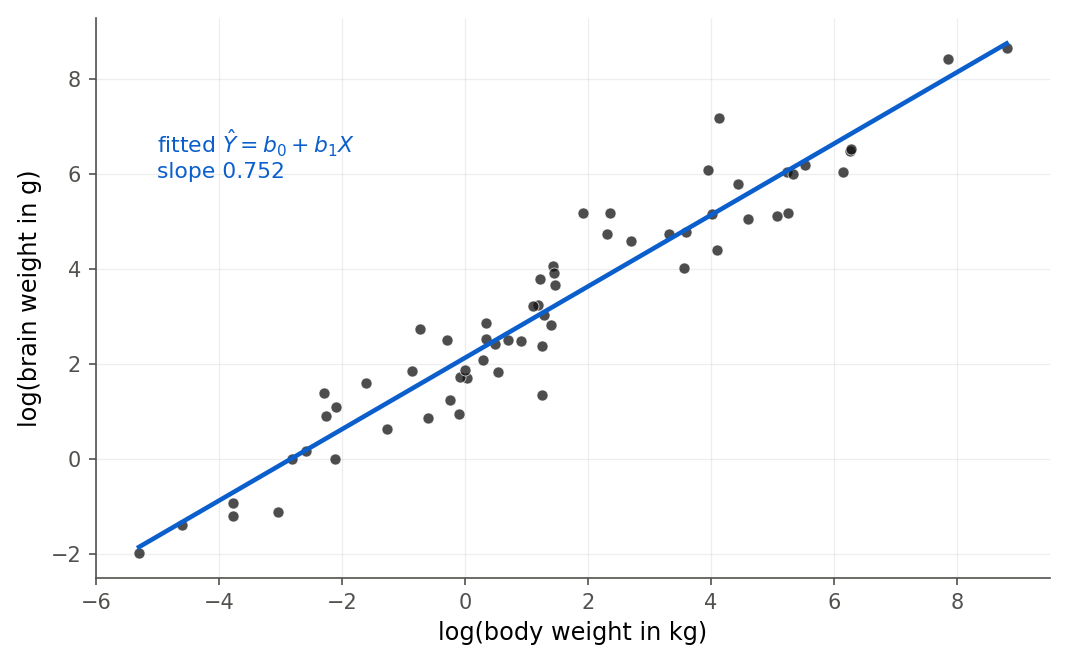 Scatterplot of log brain weight against log body weight for the same 62 mammals, with a fitted straight line of slope about 0.75. The points now spread evenly along the line across the whole range, with roughly constant vertical scatter.