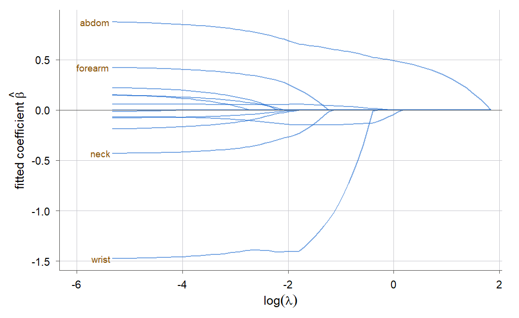 A plot of lasso coefficient paths against log-lambda for the thirteen body-fat predictors. At the left (small penalty) many coefficients are spread out, with abdomen high and positive and wrist low and negative. As log-lambda increases to the right, the paths converge to zero one after another, until near the right edge all coefficients are zero.