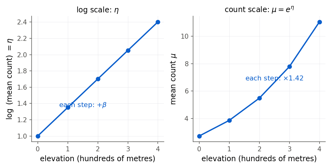 Two side-by-side line plots sharing a horizontal axis of elevation in hundreds of metres, from 0 to 4. The left panel plots the log of the mean count and is a straight rising line; equally spaced orange labels reading plus beta mark that each step up adds the same amount. The right panel plots the mean count itself and is a curve that rises ever more steeply; orange labels reading times 1.42 mark that each step up multiplies the count by the same factor, so the gaps between points grow.