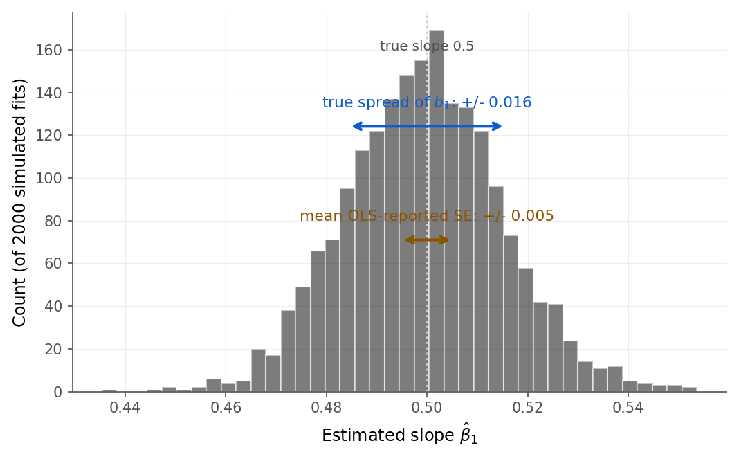 A histogram of 2000 simulated slope estimates centered on the true slope of 0.5, with a wide double-headed arrow marking the true spread of about plus or minus 0.016 and a much shorter arrow marking the mean OLS-reported standard error of about plus or minus 0.005.
